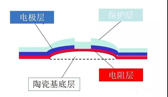 斑马打印机