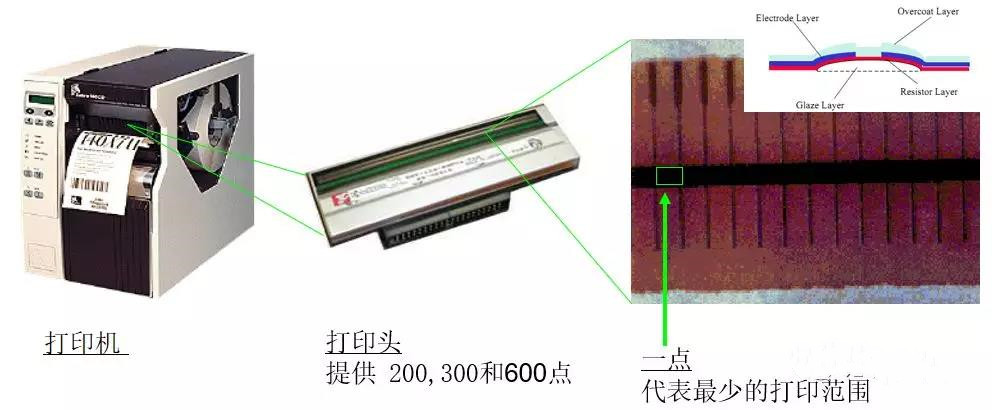 斑马打印机